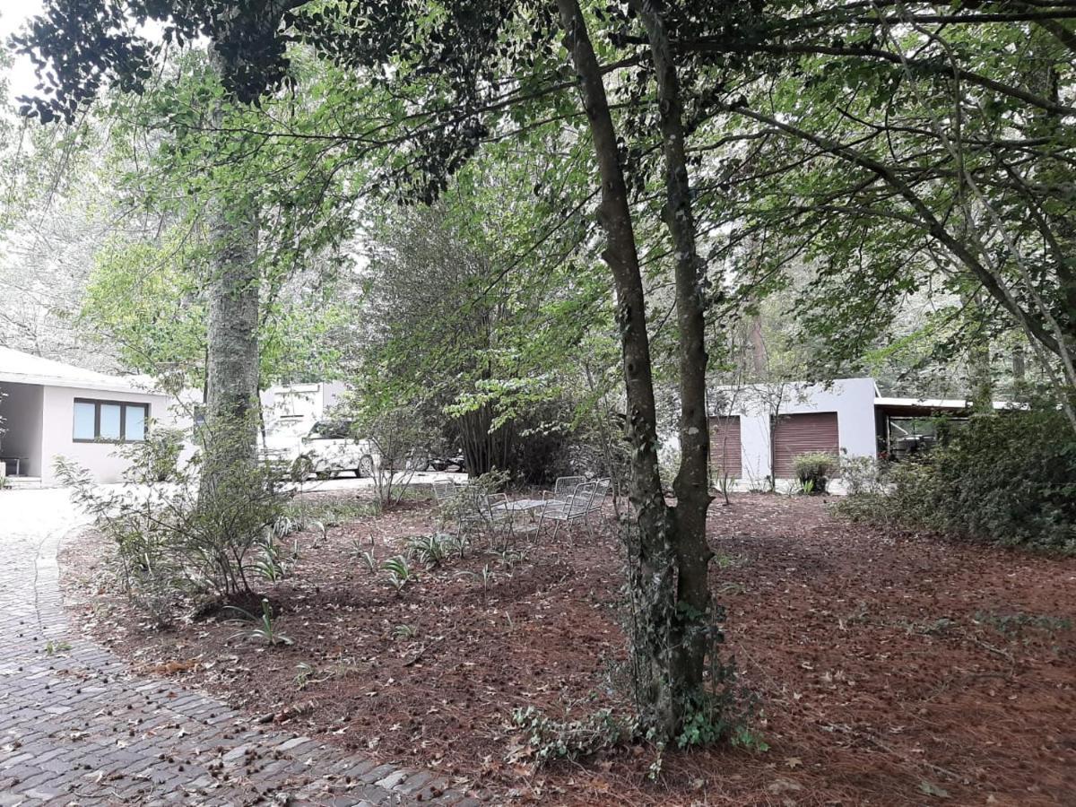 Camroshell Hotel Hogsback Eksteriør billede