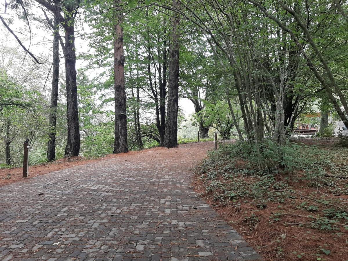 Camroshell Hotel Hogsback Eksteriør billede
