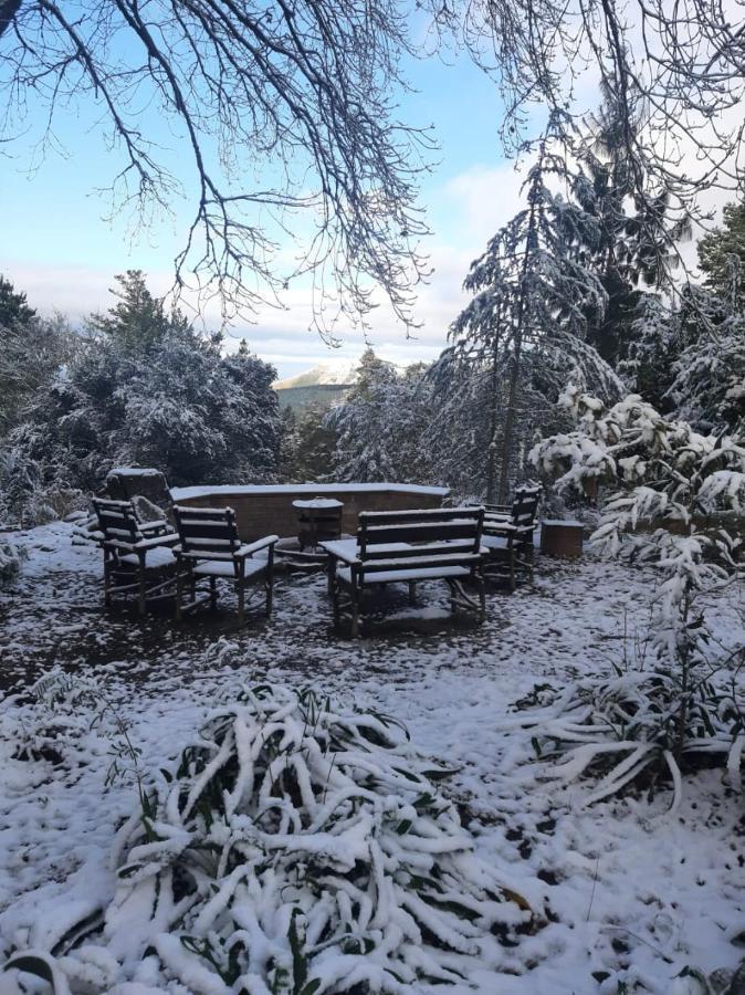 Camroshell Hotel Hogsback Eksteriør billede